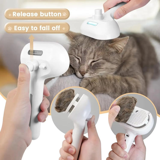 12 Common Grooming Mistakes Pet Owners Make (And How to Fix Them)